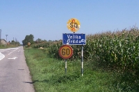 Maisfelder bei Velika Greda
