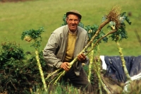 galizischer Bauer bei seiner Arbeit auf dem Feld