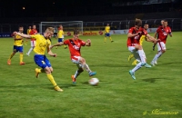 1. FC Lokomotive Leipzig vs. FSV Zwickau