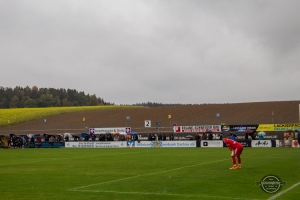 FC Pipinsried vs. 1. FC Schweinfurt