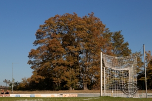 ASV Fürth vs. SV Buckenhofen