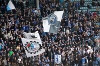 1. FC Magdeburg Supporters at home