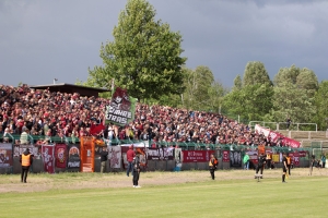 BFC Dynamo vs. VfB Oldenburg
