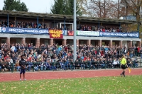 FC Pommern Greifswald vs. BFC Dynamo, 27. Oktober 2013
