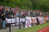 Fans des BFC Dynamo zu Gast im Berliner Poststadion