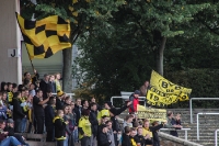 BVB Amateure Supporters