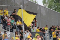 BVB Fans in Essen 2016