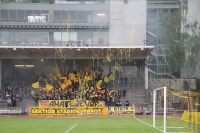 BVB Fans, Ultras Luftschlangen Batterie 