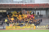 Pyroshow Ultras von die Amateure BVB April 2016