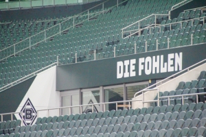Die Fohlen Borussia Park Stadion Borussia Mönchengladbach