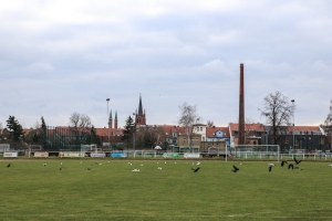 Arno-Franz-Sportplatz in Werder