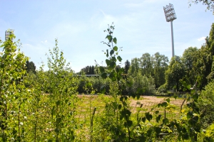 Solingen Stadion Stadion am Hermann-Löns-Weg