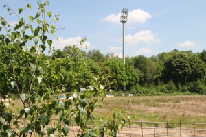 Stadion am Hermann-Löns-Weg Mai 2017