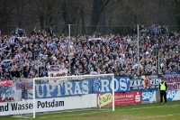 Hansa Rostock Fans beim SV Babelsberg 03
