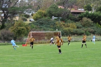 Cooma Tigers vs. Belconnen United