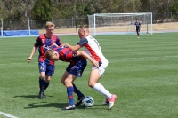 National Youth League, AIS Canberra gegen Newcastle Jets