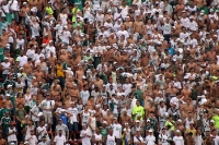 Phantastische Atmosphäre beim Stadtduell FC São Paulo - SE Palmeiras, (Foto: T. Hänsch www.unveu.de)