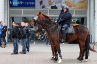 niederländische Polizei hoch zu Ross, Reiterstaffel vor dem GelreDom in Arnhem