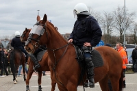 niederländische Polizei hoch zu Ross, Reiterstaffel vor dem GelreDom in Arnhem