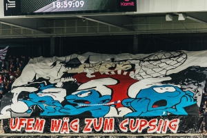 FC Thun vs. FC Luzern