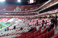 Benfica Lissabon im Estádio da Luz, gegen Santa Clara