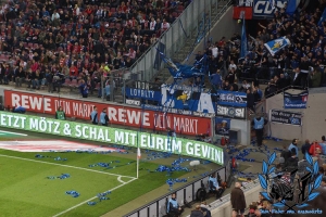 1. FC Köln vs. Hamburger SV
