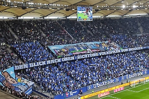 Hamburger SV vs. SC Paderborn