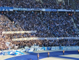 Hertha BSC vs. TSG 1899 Hoffenheim