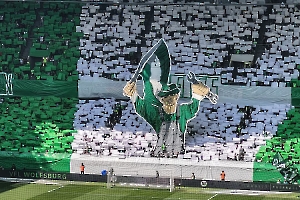 VfL Wolfsburg vs Hertha BSC