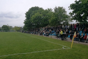 VfB Fortuna Biesdorf vs. Berlin United