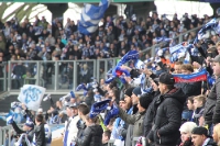 Fans MSV Duisburg