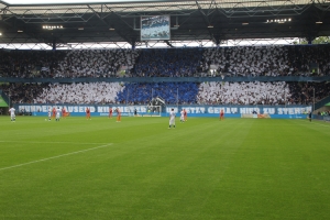 MSV Ultras Fahnenchoreo Bochum Spiel 2017