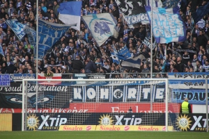 Support MSV Fans gegen Halle