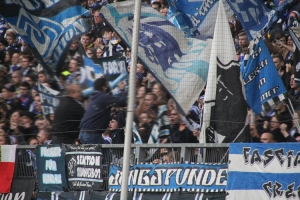 Support MSV Fans gegen Halle