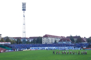 Hallescher FC vs. 1. FC Magdeburg