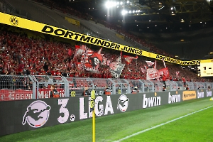 RWE Fans Support in Dortmund