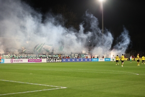 Pyro Preußen Münster Fans in Dortmund 13.02.2024