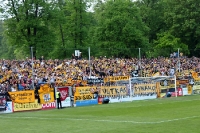 Fans und Ultras der SG Dynamo Dresden beim SV Babelsberg 03