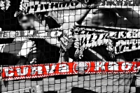 SG Dynamo Dresden vs. Arminia Bielefeld