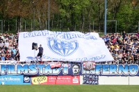 Mission Klassenerhalt! SV Babelsberg 03 - DSC Arminia Bielefeld, 1:0