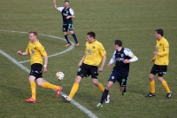 SV Babelsberg 03 vs. VfB Auerbach, Regionalliga