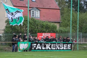 SV Falkensee-Finkenkrug vs. SC Eintracht Miersdorf/​Zeuthen