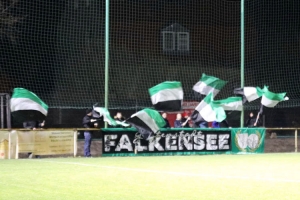 SV Falkensee-Finkenkrug vs. SV Grün-Weiß Brieselang