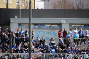 TSV 1860 München vs. SV Meppen