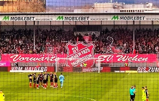 SV Wehen Wiesbaden vs. TSV 1860 München 