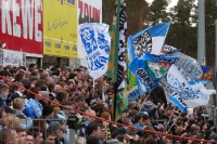 Fans des TSV 1860 München in Sandhausen