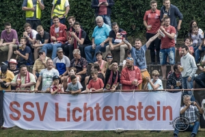 FSV Limbach-Oberfrohna vs. SSV Fortschritt Lichtenstein