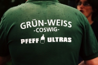SpVgg Grün-Weiß Coswig vs. Meissner SV 08
