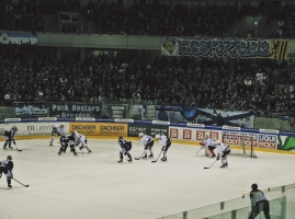 Dresdner Eislöwen vs. Heilbronner Falken