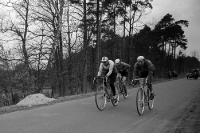 Eintages-Radrennen Berlin–Angermünde–Berlin, DDR 1952 